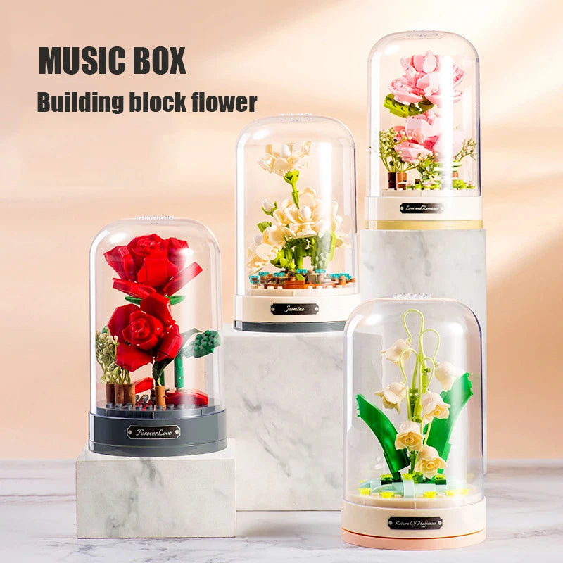 Plant Music Box DIY