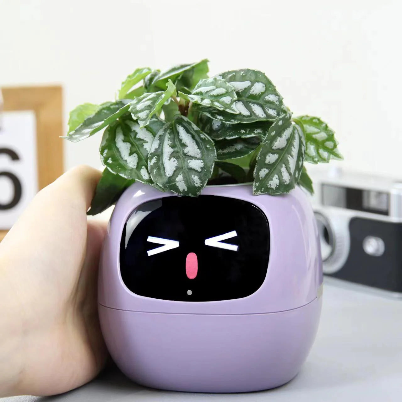 Virago™ - Smart Ivy Planter