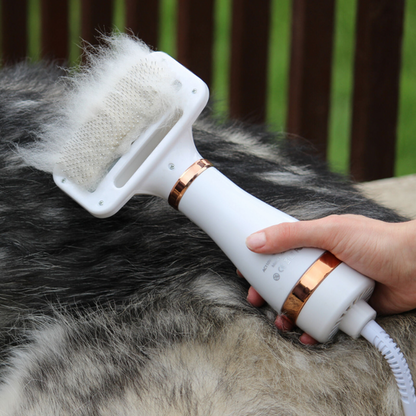 2-in-1 Dog Hair Dryer