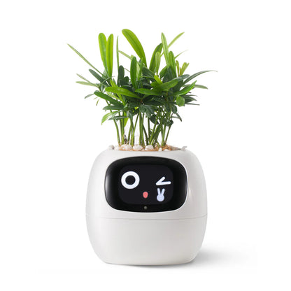 Virago™ - Smart Ivy Planter