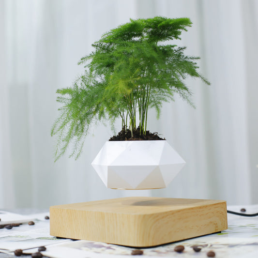 AirGrow Levitating Plant Pot