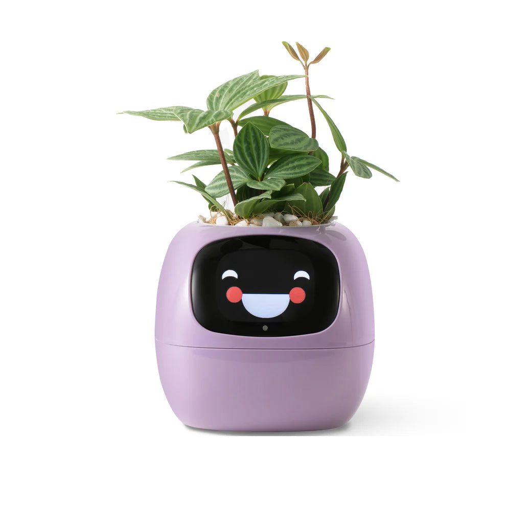 Virago™ - Smart Ivy Planter