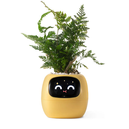 Virago™ - Smart Ivy Planter