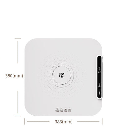 Electric Warming Tray