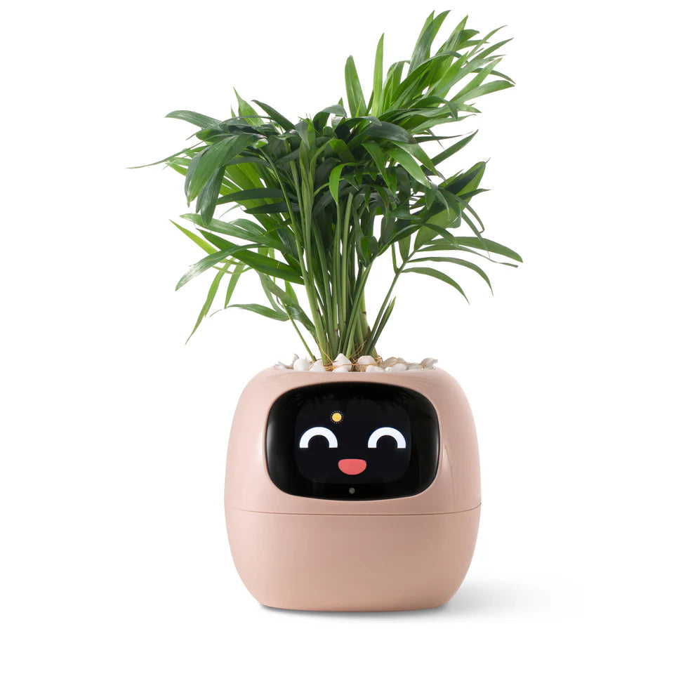 Virago™ - Smart Ivy Planter